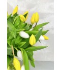 Acercamiento Ramo de tulipanes